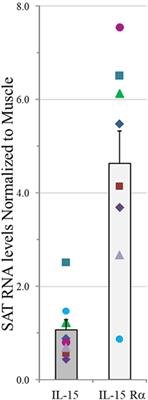 Human Body Composition and Immunity: Visceral Adipose Tissue Produces IL-15 and Muscle Strength Inversely Correlates with NK Cell Function in Elderly Humans